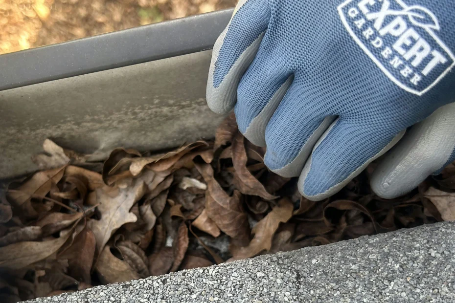 Gutter Cleaning McKinney TX