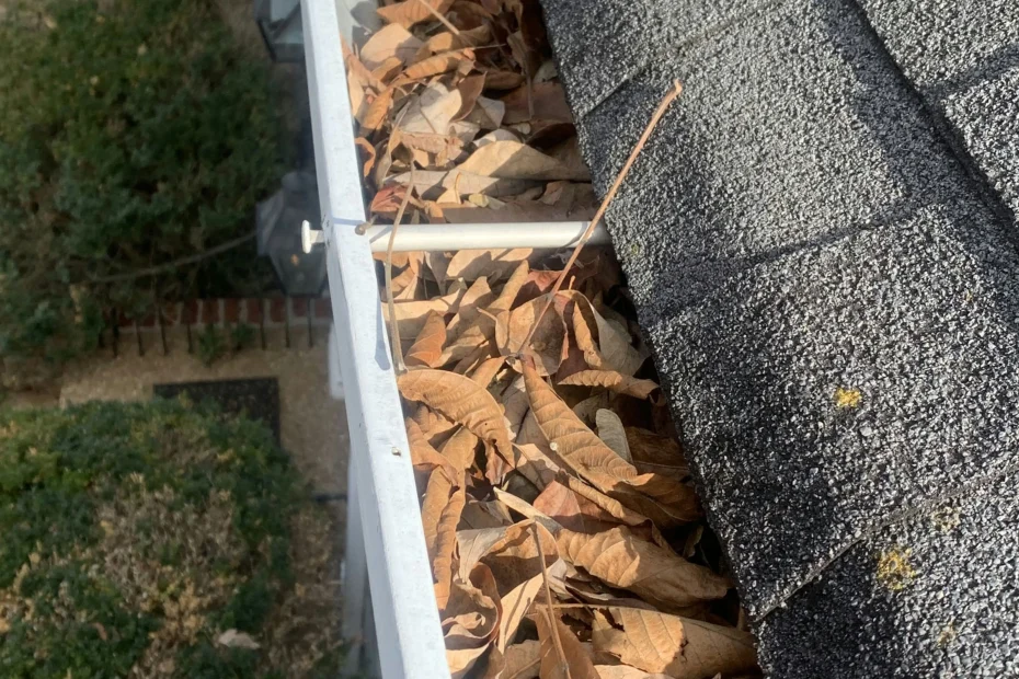 Gutter Cleaning McKinney TX